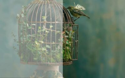 Blockaden lösen: Glaubenssätze erkennen und überwinden.